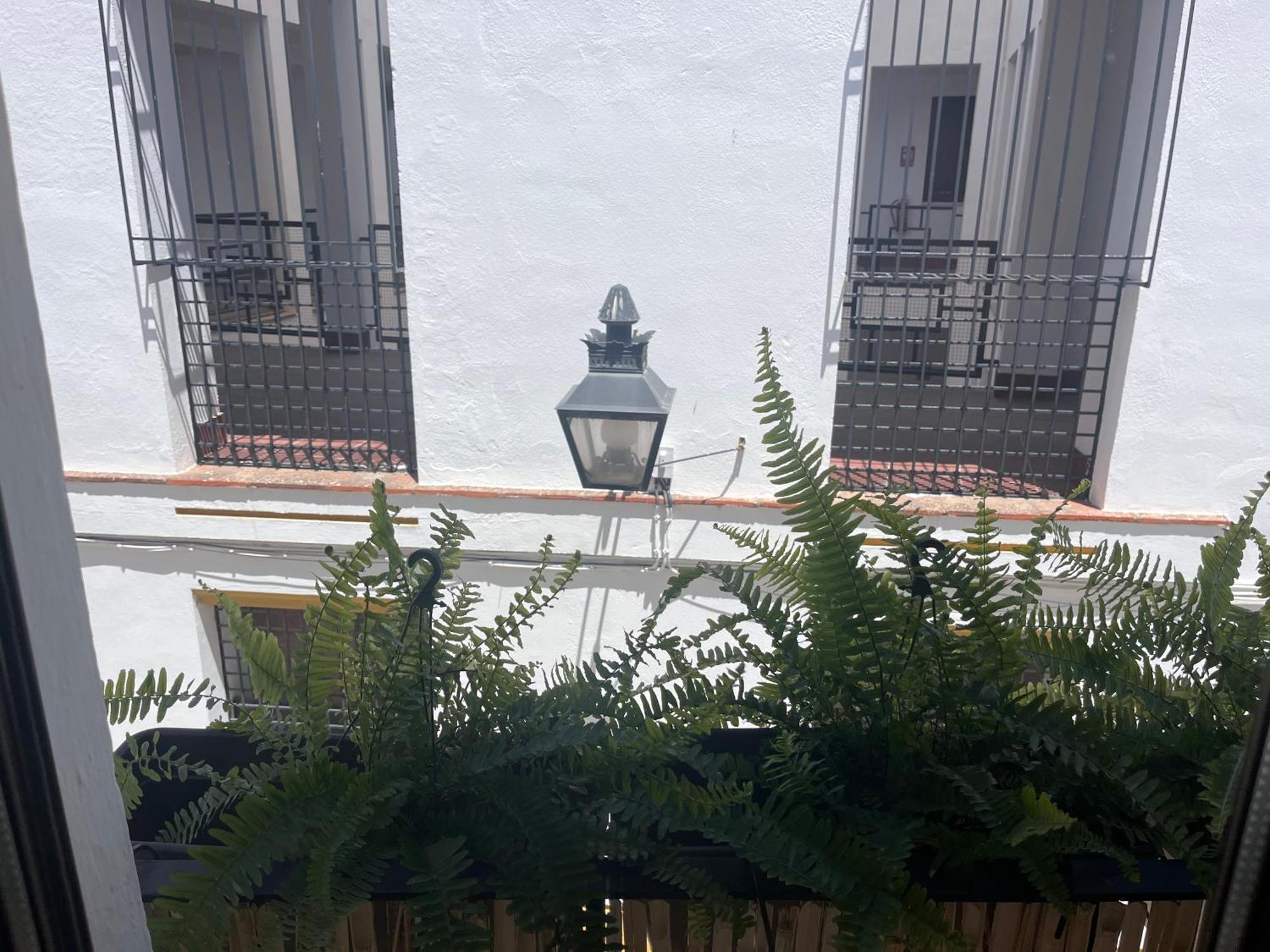 Mucho Trigo Apartments New Cordova Esterno foto